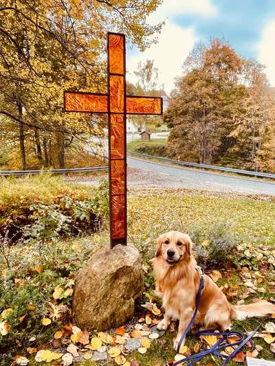 Dogorama Photo Challenge - Gassipause-Beitrag-Bild