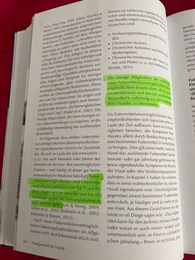 Haaranalyse zur Futtermittelunverträglichkeit-Beitrag-Bild