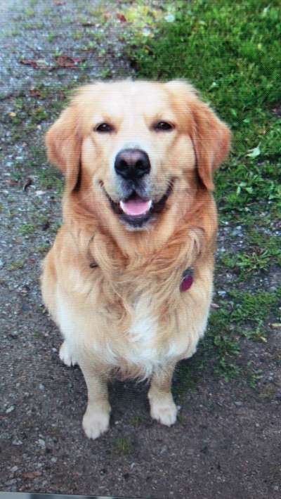 Fotochallenge Nr.122-Beitrag-Bild