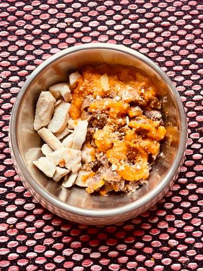 Zeigt her Eure Futternäpfe-Beitrag-Bild