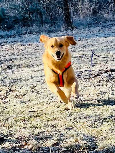 Fotochallenge Nr.122-Beitrag-Bild