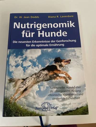 Ist Trockenfutter schädlich?-Beitrag-Bild