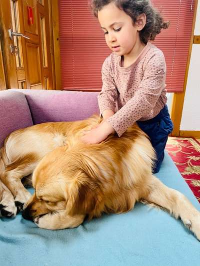 Ferngesteuerte Autos-Beitrag-Bild