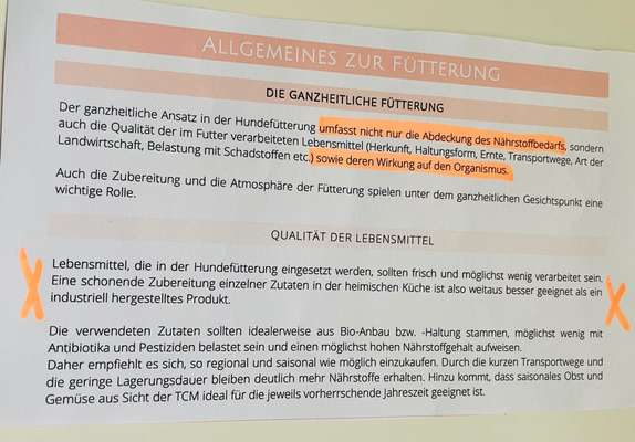 Ist Trockenfutter schädlich?-Beitrag-Bild