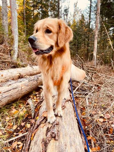 27. Handy Fotochallenge-Beitrag-Bild