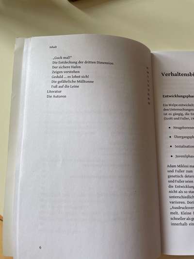 Die dunkle Seite einen Hund zu haben-Beitrag-Bild