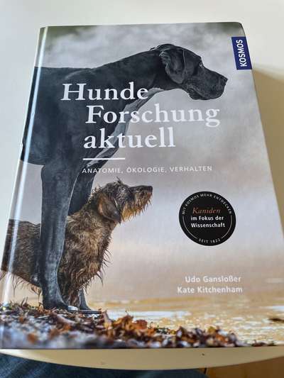 Verhalten-Beitrag-Bild