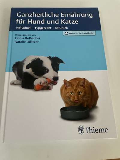 Ist Trockenfutter schädlich?-Beitrag-Bild