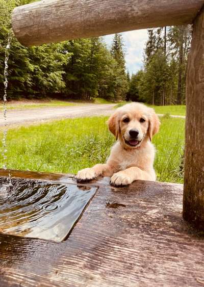 Fotochallenge Nr. 94 It's summer time-Beitrag-Bild