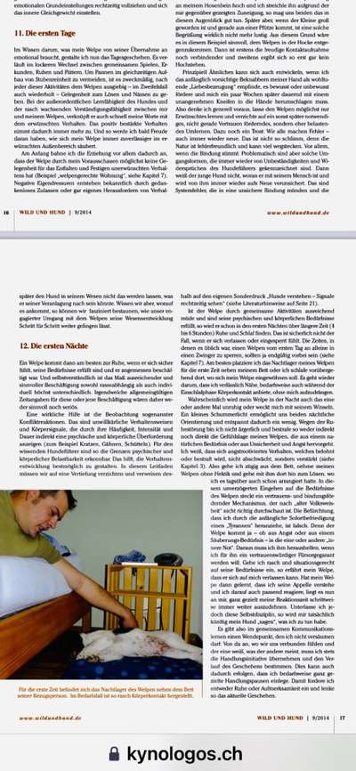 Nächtliches Bellen-Beitrag-Bild