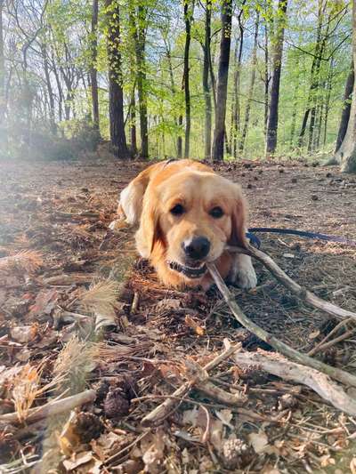 SonnenSTRAHLEN-Beitrag-Bild