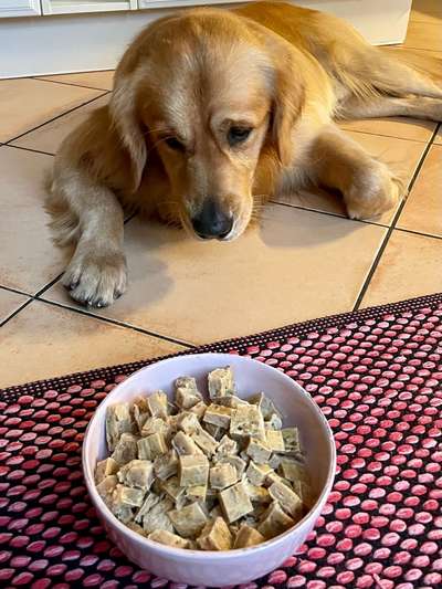 Zeigt her Eure Futternäpfe-Beitrag-Bild