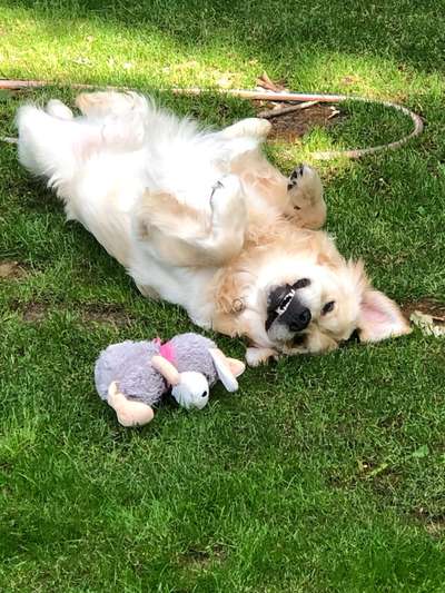 Das beste grinsefoto-Beitrag-Bild