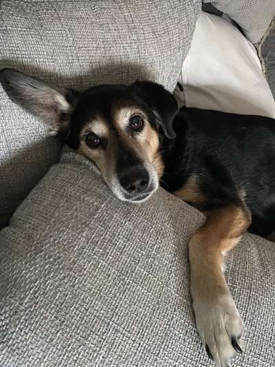 Foto Challange Nr.80-Beitrag-Bild