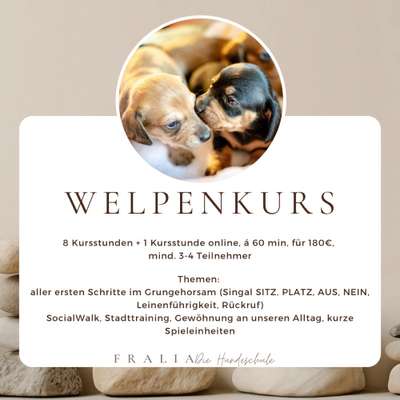 Giftköder-Welpentraining / Welpenkurs-Bild