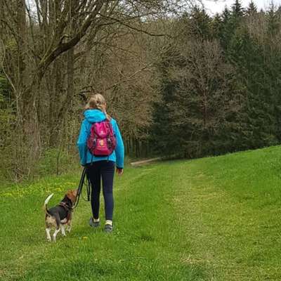 Lange spaziergänge 💪😄-Beitrag-Bild