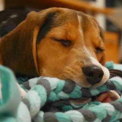 Zubehör selbst machen-Beitrag-Bild