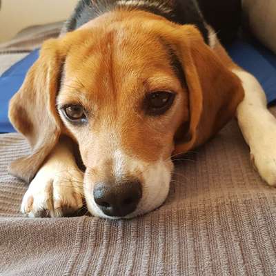 Kühlmatte-Beitrag-Bild