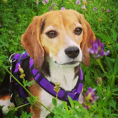 Schnüffelideen für unterwegs-Beitrag-Bild