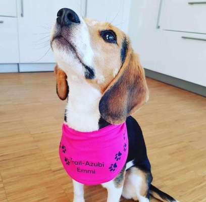 Zubehör selbst machen-Beitrag-Bild