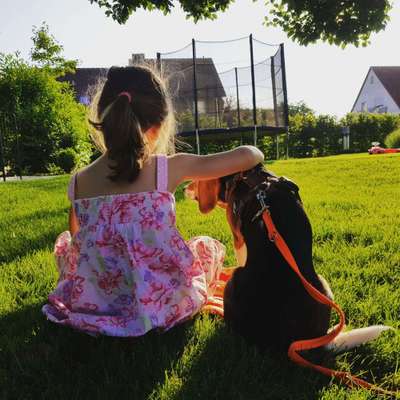 Lieblings Schnappschuss?-Beitrag-Bild