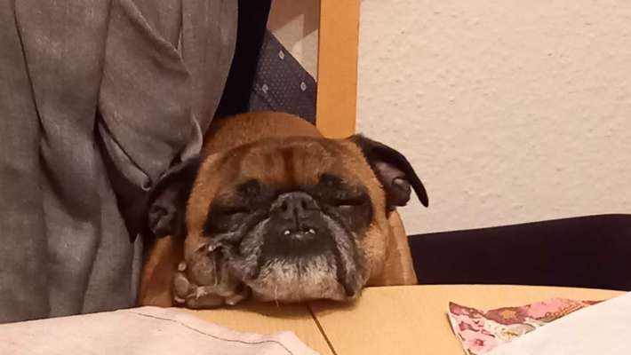 Foto Challenge Nr. 134-Beitrag-Bild