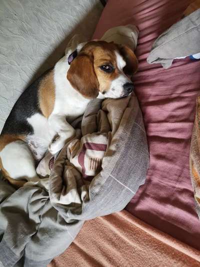 Fotochallenge 37- Sommerfeeling-Beitrag-Bild