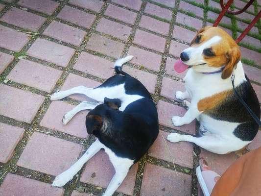 LUSTIGE FOTOS! WER KANN MITHALTEN?-Beitrag-Bild