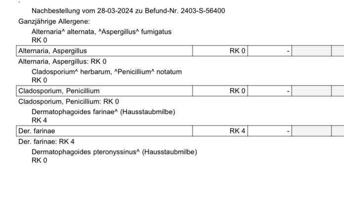 Hautprobleme, geschwollene aufgeplatzte Pfoten, juckende Haut-Beitrag-Bild