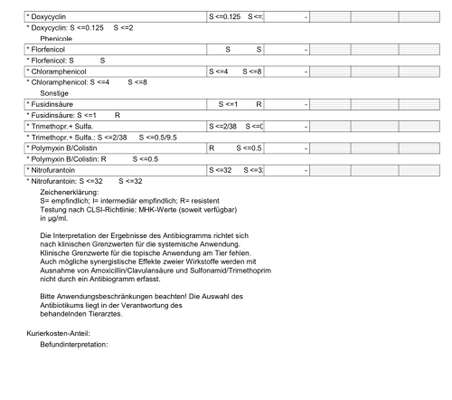 Hautprobleme, geschwollene aufgeplatzte Pfoten, juckende Haut-Beitrag-Bild