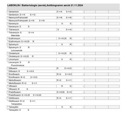 Hautprobleme, geschwollene aufgeplatzte Pfoten, juckende Haut-Beitrag-Bild