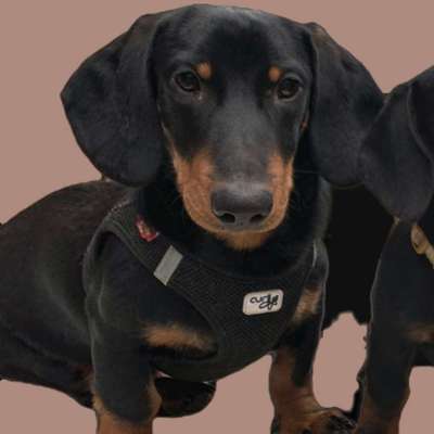 Céline's Profilbild