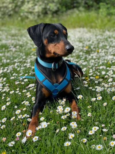 Fotowettbewerb Natur-Beitrag-Bild