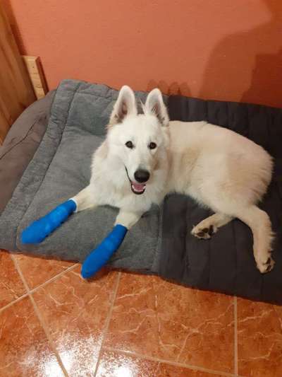 10. Farben Foto-Challenge ---- Blau-Beitrag-Bild