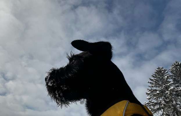 118. Fotochallange-Beitrag-Bild