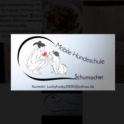 Hundeschulen-Mobile Hundeschule Schumacher-Bild