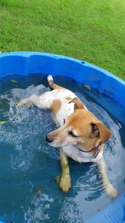 FOTOCHALLANGE NR.71 BADEFREUDE-Beitrag-Bild