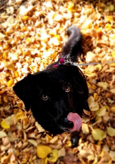 Handyfoto challenge Nr. 13: Waschlappen raus!-Beitrag-Bild