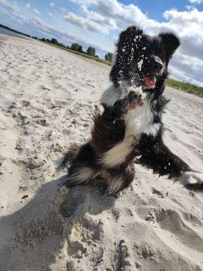 Fotochallenge Nr.100 Urlaubsimpressionen-Beitrag-Bild