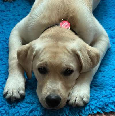 Susanne's Profilbild