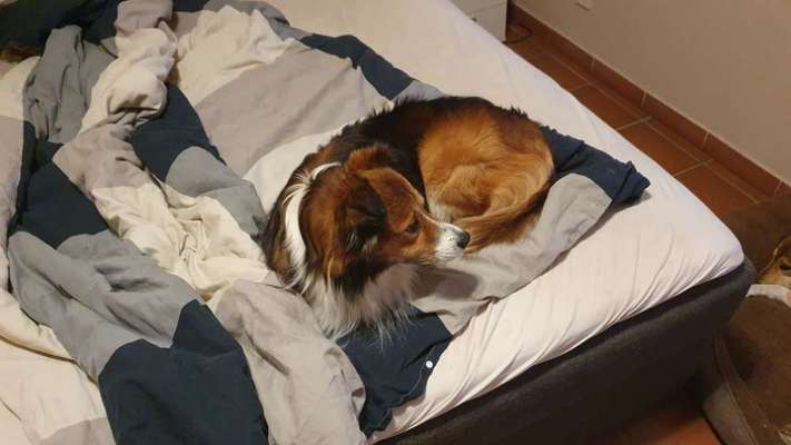 Foto Challenge Nr. 134-Beitrag-Bild