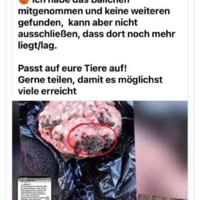 Giftköder-Giftköder-Bild