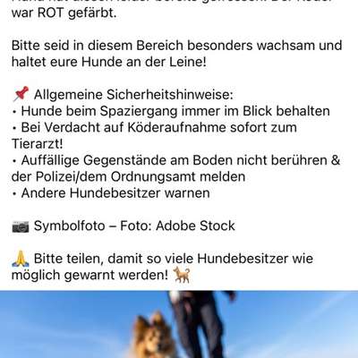 Giftköder-Giftköder-Bild