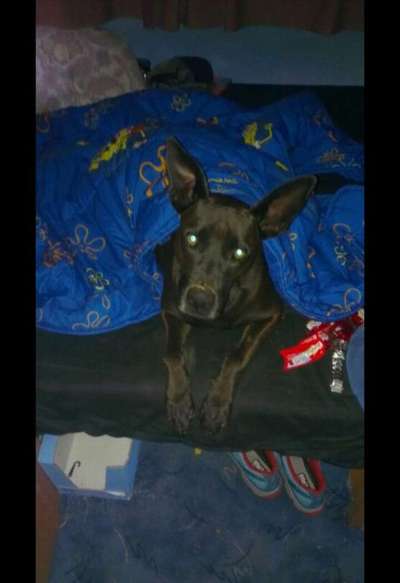 Lieblingsbild-Beitrag-Bild