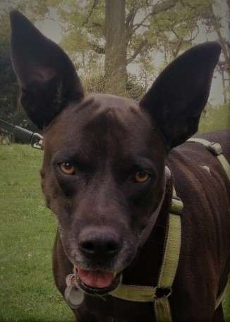 Fotochallange Nr. 57     PORTRÄT.   Beendet!!!!!!!!-Beitrag-Bild