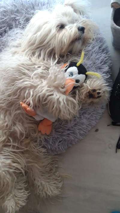 Lieblingsbild-Beitrag-Bild