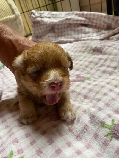 Handyfoto challenge Nr. 13: Waschlappen raus!-Beitrag-Bild