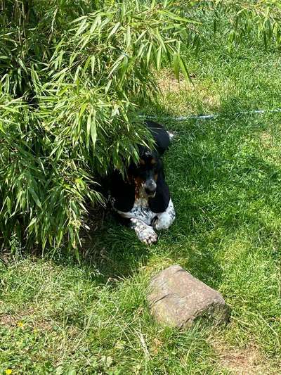 80. Foto  Challenge - Versteckt/ in einer Höhle-Beitrag-Bild