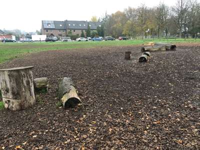 Hundeauslaufgebiet-Beller Park-Bild