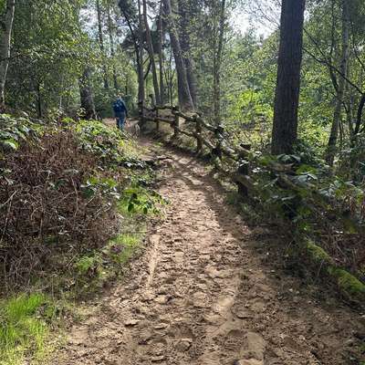 aktuelles Foto Gruppe Wandern und Outdoor